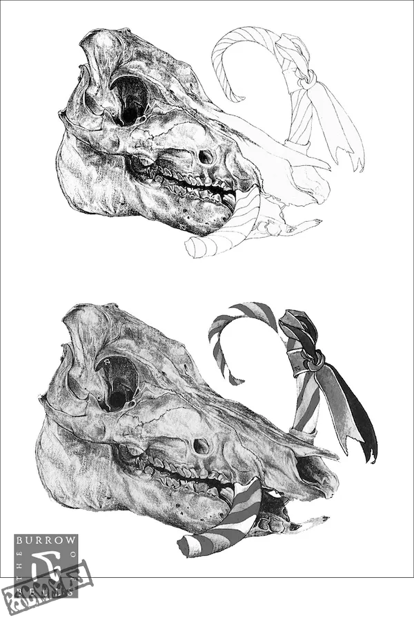 Study of a tusked skull