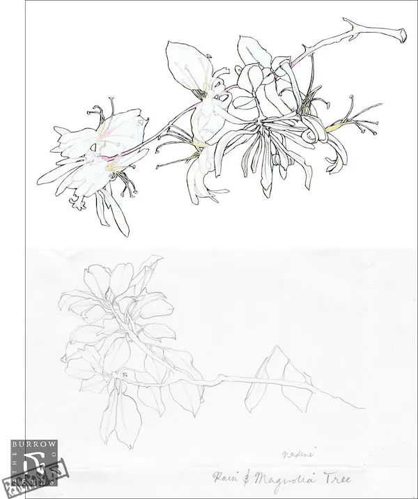 Studies of honey suckle and magnolia branches