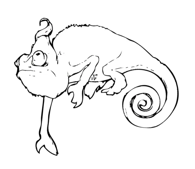 Illustration of a chameleon