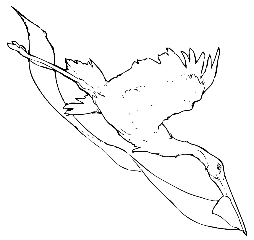 Illustration of a flying stork holding a fluttering piece of cloth